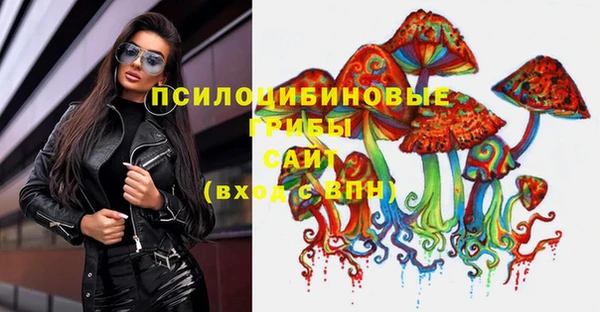бошки Аркадак