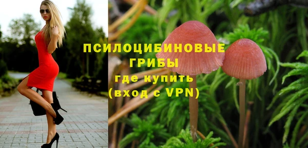 дмт Арсеньев