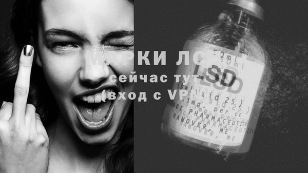 дмт Арсеньев