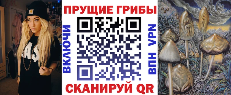Псилоцибиновые грибы Psilocybe  Краснознаменск 