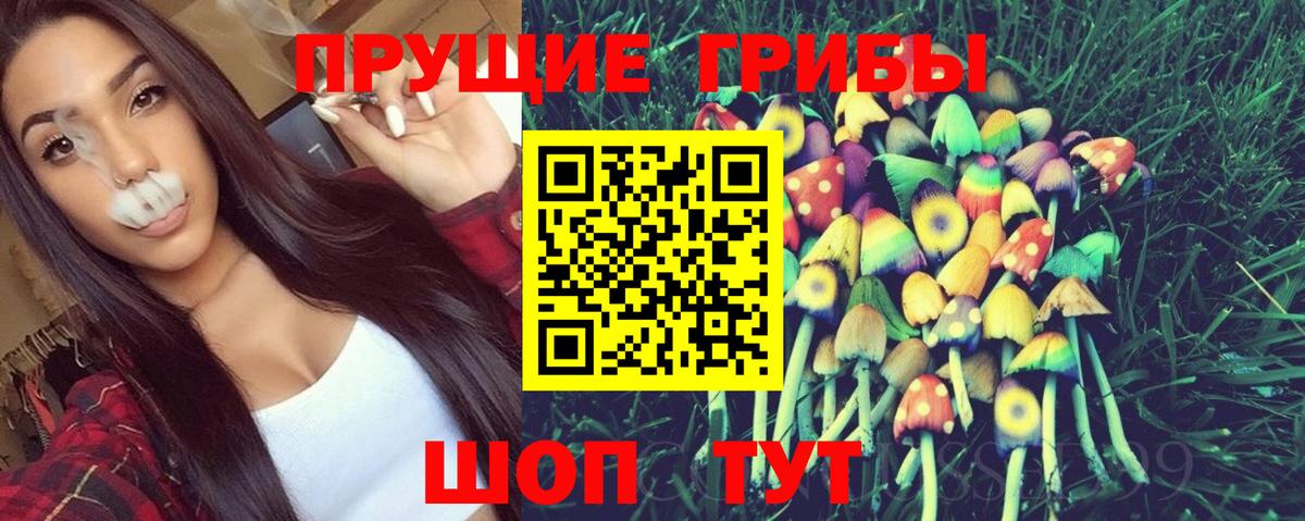 Псилоцибиновые грибы прущие грибы Краснознаменск